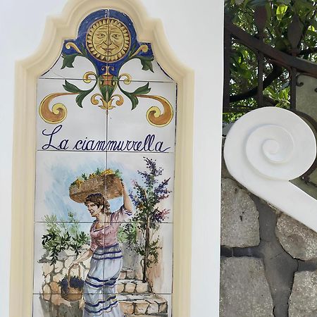 B&B La Ciammurrella アナカプリ エクステリア 写真